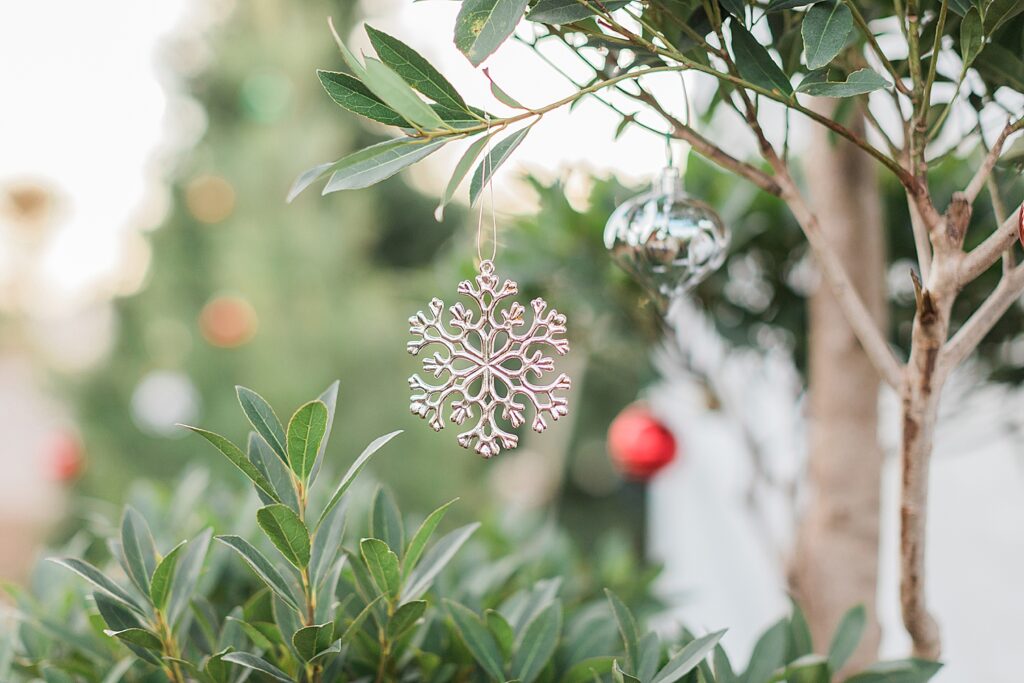 Couple Photography Gilbert Arizona Whitfill Nursery