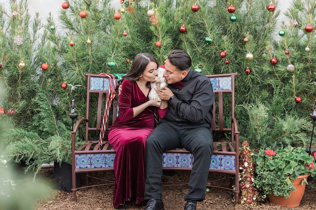 Couple Photography Gilbert Arizona Whitfill Nursery