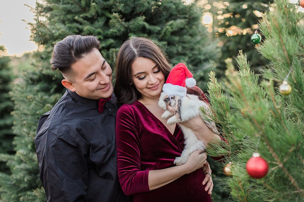 Couple Photography Gilbert Arizona Whitfill Nursery